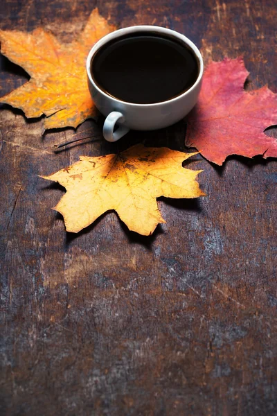 Folhas de bordo e xícara de café preto — Fotografia de Stock