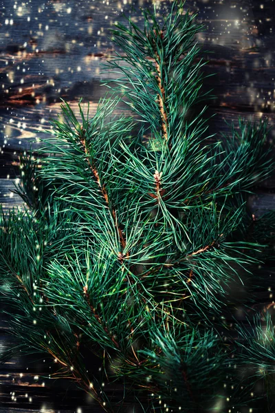 Sluitingen van de kerstboom — Stockfoto