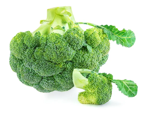 Broccoli Isolati Fondo Bianco Broccoli Crudi Verdure Vicino — Foto Stock