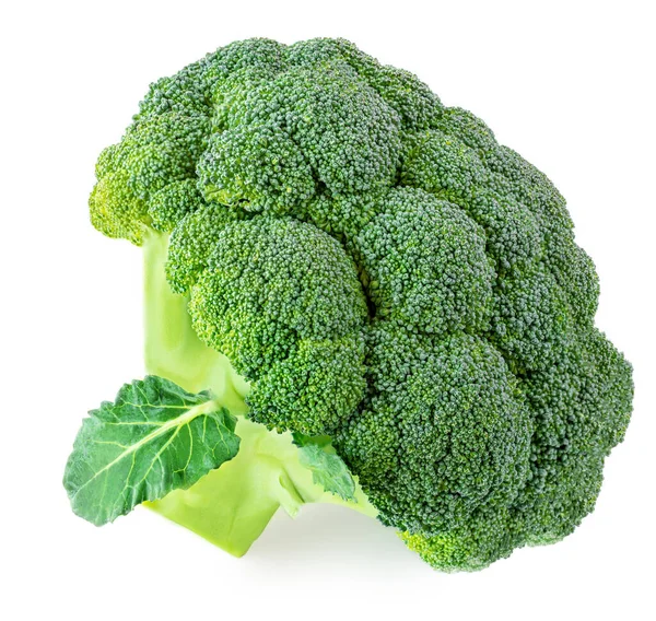 Broccoli Isolati Fondo Bianco Broccoli Crudi Verdure Vicino — Foto Stock