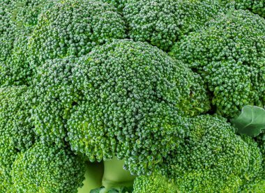 Taze brokoli desenli arka plan, yakın plan.