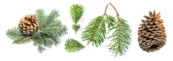 가지와 소나무로 원추형의 창조적 배치가 배경에 분리되어 크리스마스 컨셉트 — 스톡 사진
