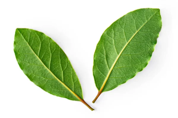 Dos Hojas Fresh Bay Aisladas Sobre Fondo Blanco Primeros Planos — Foto de Stock