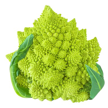 Romanesco brokoli ya da Roma karnabaharı beyaz arka planda izole edilmiş. Vegan Gıda Konsepti