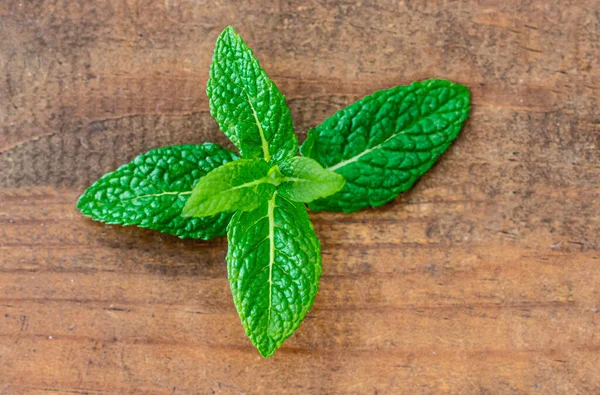 Hierba Menta Orgánica Sobre Fondo Madera Hojas Menta Fresca Con — Foto de Stock