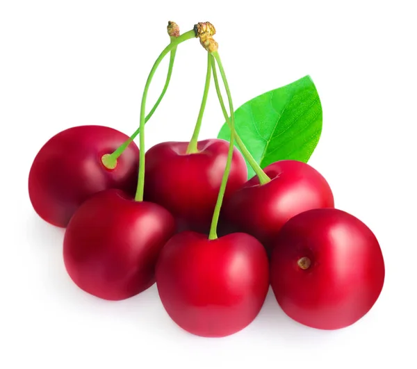 Cherry Isolato Sfondo Bianco Ciliegie Con Foglie Steli Vicino — Foto Stock