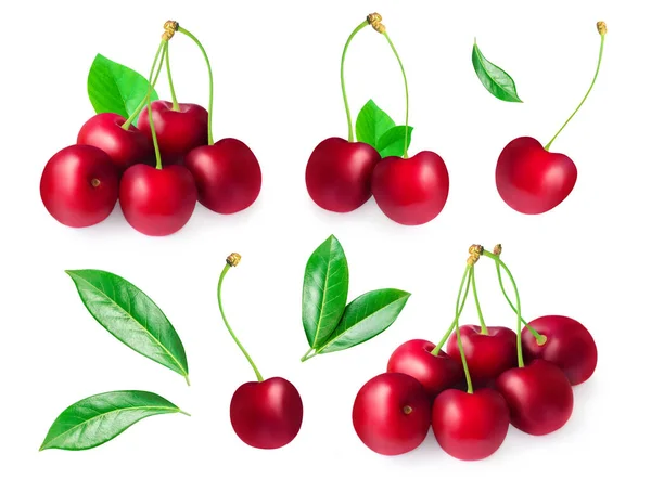 Kirsche Isoliert Auf Weißem Hintergrund Kirschen Beeren Mit Grünen Blättern — Stockfoto