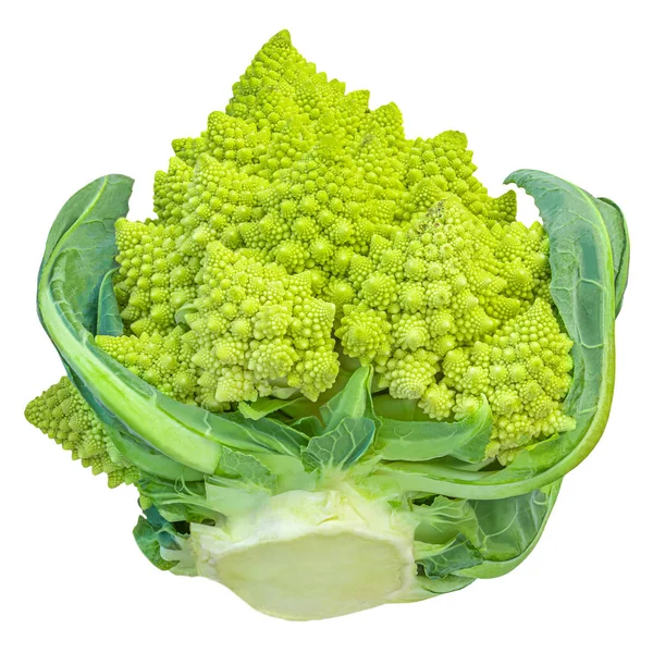 Broccoli Romanesco Isolati Fondo Bianco Macro Cavolfiore Romano — Foto Stock