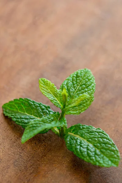 Frisches Minzblatt Auf Einem Holztisch Pfefferminzkraut Mit Kopierraum Ansicht Von — Stockfoto