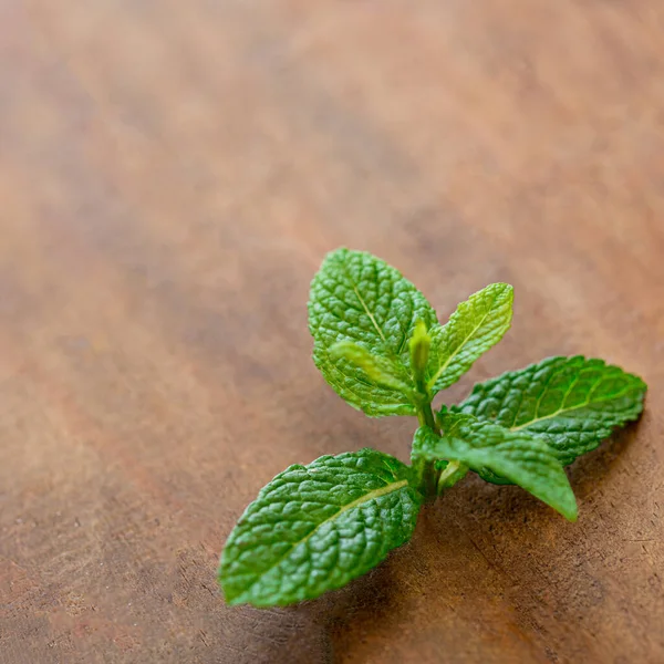 Hoja Menta Fresca Sobre Una Mesa Madera Hierba Menta Con — Foto de Stock