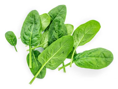 Beyaz arka planda ıspanak yaprakları izole. Ispanak yığını Macro 'dan ayrılıyor. Üst Manzara. Düz yatıyordu