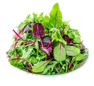 Beyaz arka planda izole edilmiş bir tabakta salata yaprakları. Taze roka, marul ve ıspanak karışımı. 