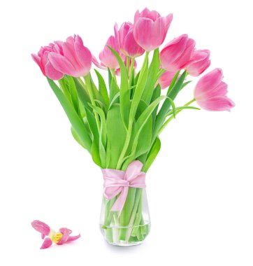 Beyaz arka planda izole edilmiş pembe laleler. Bahar lale çiçekleri. Paskalya ya da Sevgililer Günü tebrik kartı