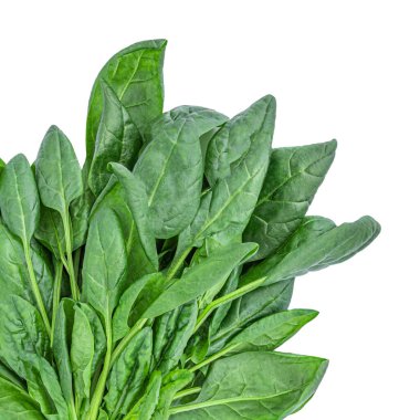 Beyaz arkaplanda ıspanak yaprakları izole. 