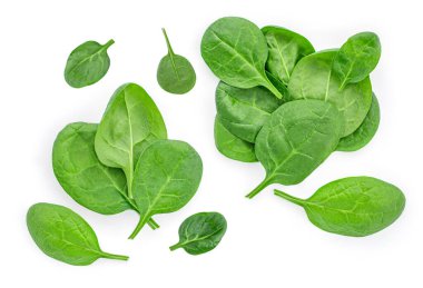 Beyaz arka planda izole edilmiş taze yeşil ıspanak yaprakları yığını. Hazır ol. Düz yatıyordu. 