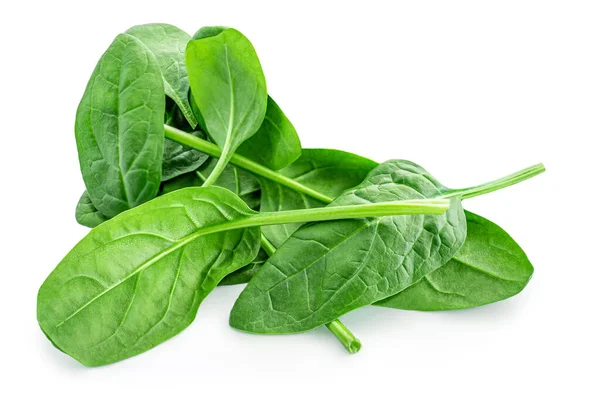 Spinach Leaves Isolated White Background Various Spinach Leaf Royalty Free Stock Images