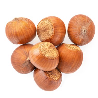 Beyaz arka planda kabuklu fındıklar. Fındık toplama makrosu. Üst görünüm