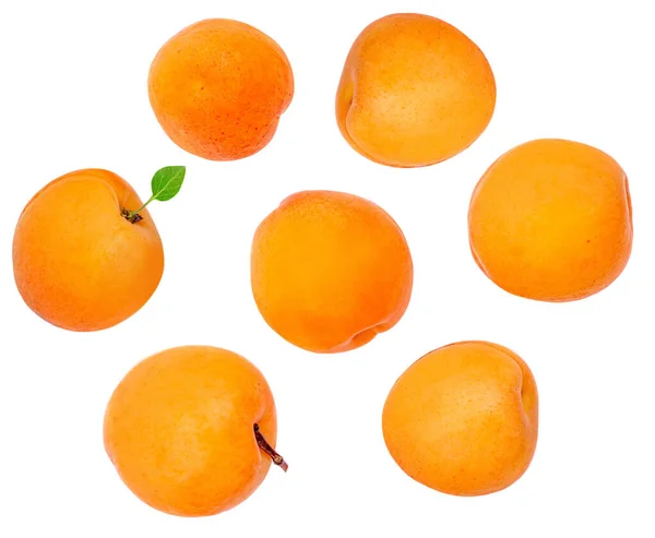 新鲜的杏果 叶子在白色的背景上被隔离 顶部视图 平躺在床上杏仁馅饼 — 图库照片