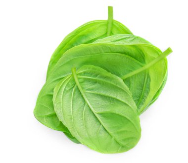 Beyaz arka planda taze yeşil fesleğen yaprakları, üst manzara. Fesleğen 