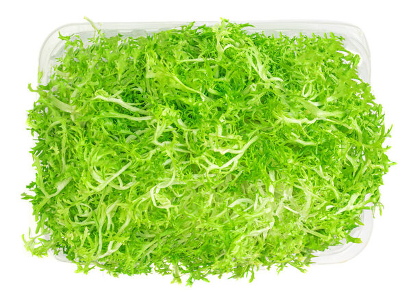 Frisee lettuce leaves isolated on white background. Green Crispy endive or Curly Escarole Salad top view