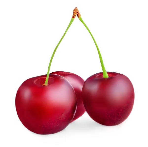 Red Cherry Isolated Sour Cherry Macro Sweet Cherries White Background — Foto de Stock