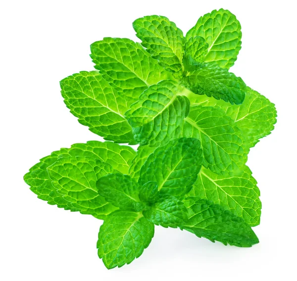 Fresh Spearmint Leaves Isolated White Background Melissa Peppermint Close Pepper — Stock Photo, Image