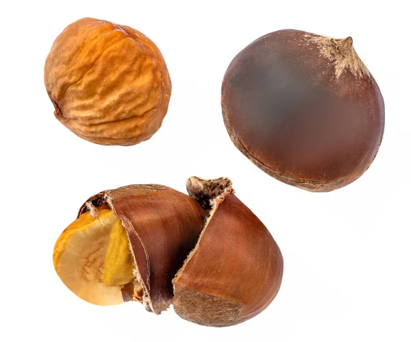 Autumn Chestnuts Isolated White Background Cracked Roasted Chestnuts Shell Top — Stock Photo, Image