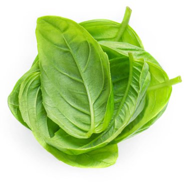 Beyaz arka planda taze yeşil fesleğen yaprakları, üst manzara. Fesleğen 