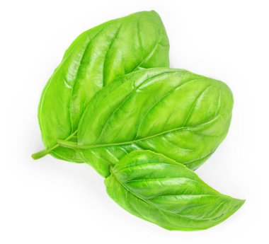 Beyaz arka planda taze yeşil fesleğen yaprakları, üst manzara. Fesleğen 