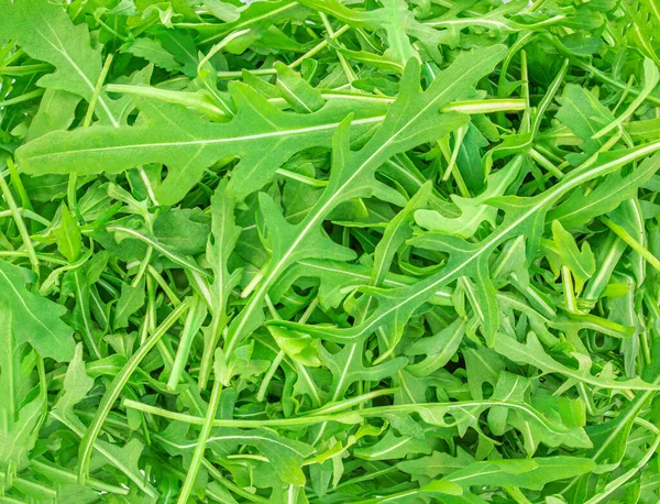 Arugulakraut Als Hintergrund Grüner Frischer Rucolasalat Oder Rucolablatt Makro Textura — Stockfoto