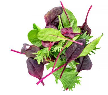Sağlıklı salata yaprakları beyaz arka planda izole edilmiş. Ispanakla karıştırılmış salata, Chard, marul üst görünümü. Düz la