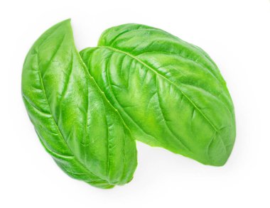 Beyaz arka planda taze yeşil fesleğen yaprakları, üst manzara. Fesleğen 