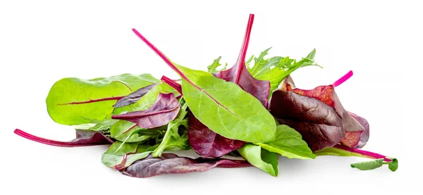 Gezonde Salade Bladeren Mix Geïsoleerd Witte Achtergrond Gemengde Salade Met — Stockfoto