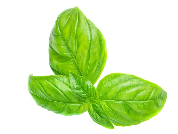 Fresh Green Basil Leaves Isolated White Background Top View Basil — Stock Photo, Image