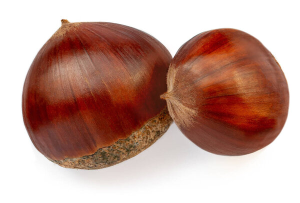 Осенние каштаны изолированы на белом фоне. Обжаренные каштаны с панцирем сверху. Плоская кладка, Креативная планировка