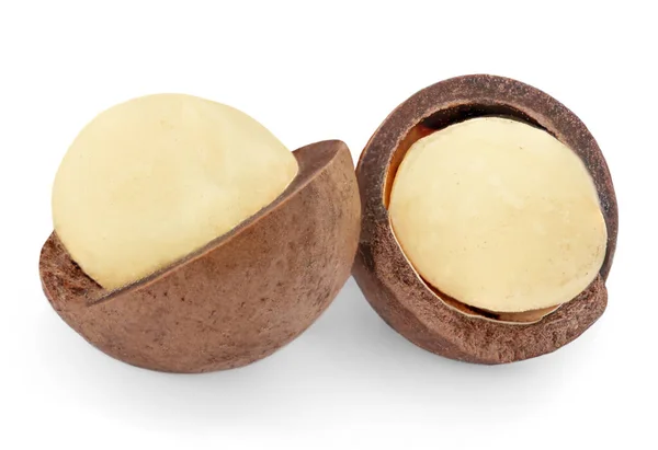 Geïsoleerde Macadamia Noten Macadamia Witte Achtergrond — Stockfoto
