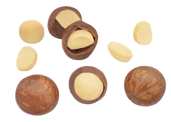 Isolated Macadamia Nuts Collection Nacadamia Nuts White Background Close Top — Stock Photo, Image