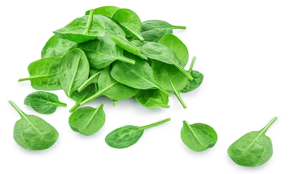 Spinach Leaves Isolated White Background Various Spinach Leaf Macro Top — Stock Photo, Image