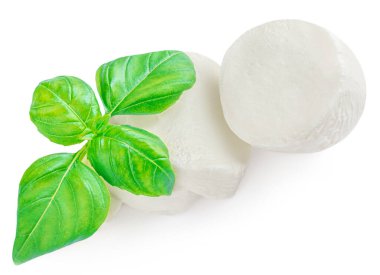 Beyaz arka planda yalıtılmış fesleğen yapraklı Mozzarella peyniri. Üst görünüm