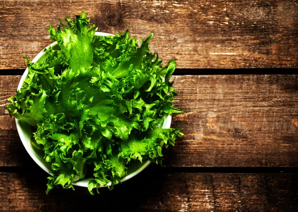 Fresh green Lettuce Salad — Stock Photo, Image