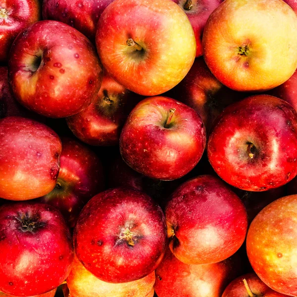 Red ripe apples — Stock Photo, Image