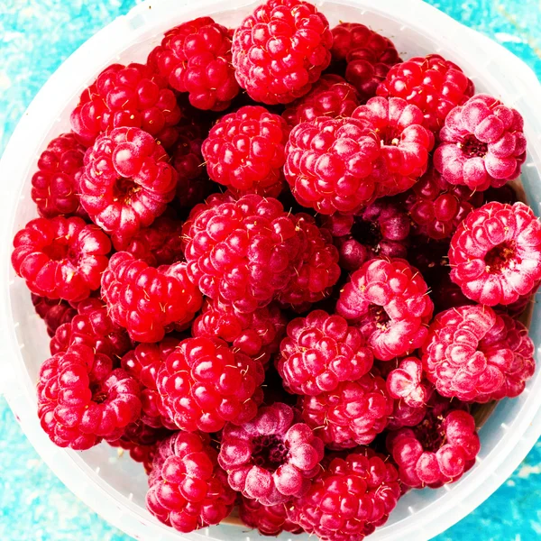 Red ripe raspberry — Stock Photo, Image