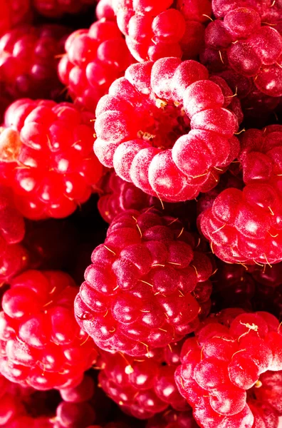 Heap of Fresh Red Ripe raspberry — Stock Photo, Image