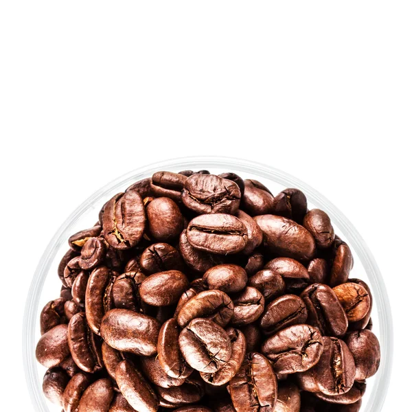Brun kaffebönor isolerade — Stockfoto