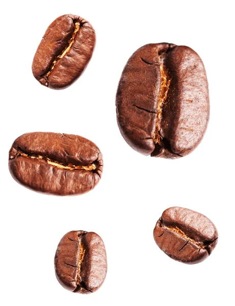Collection of Roasted Coffee Beans — Stock Photo, Image
