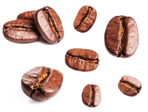 Collection of Roasted Coffee Beans — Stock Photo, Image