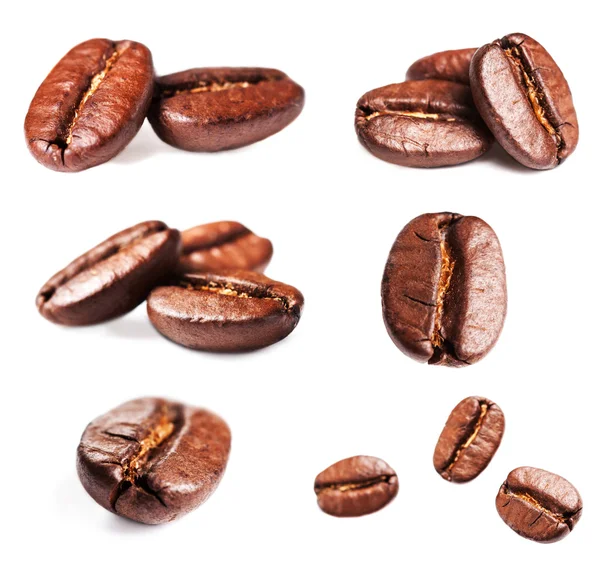 Collection of Roasted Coffee Beans — Stock Photo, Image