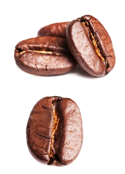 Collection of Roasted Coffee Beans — Stock Photo, Image