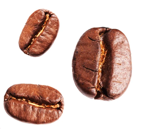 Collection of Roasted Coffee Beans Stock Image