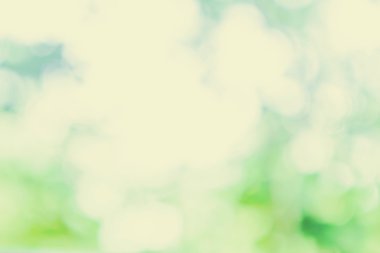 Doğal yeşil ve sarı güneş ışınları arka plan